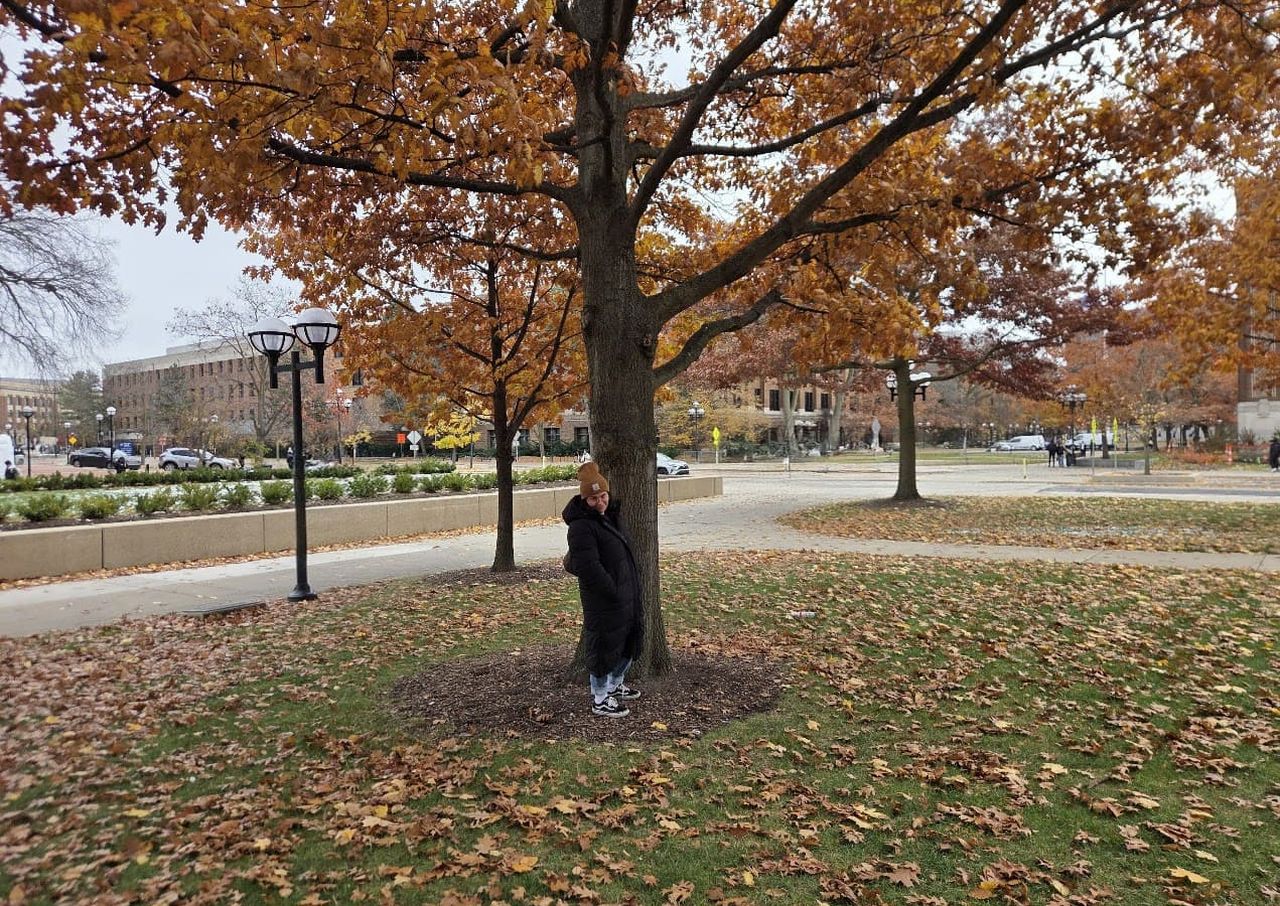 Person in a black coat stands under a tree with autumn leaves in a park, surrounded by fallen leaves and nearby buildings.