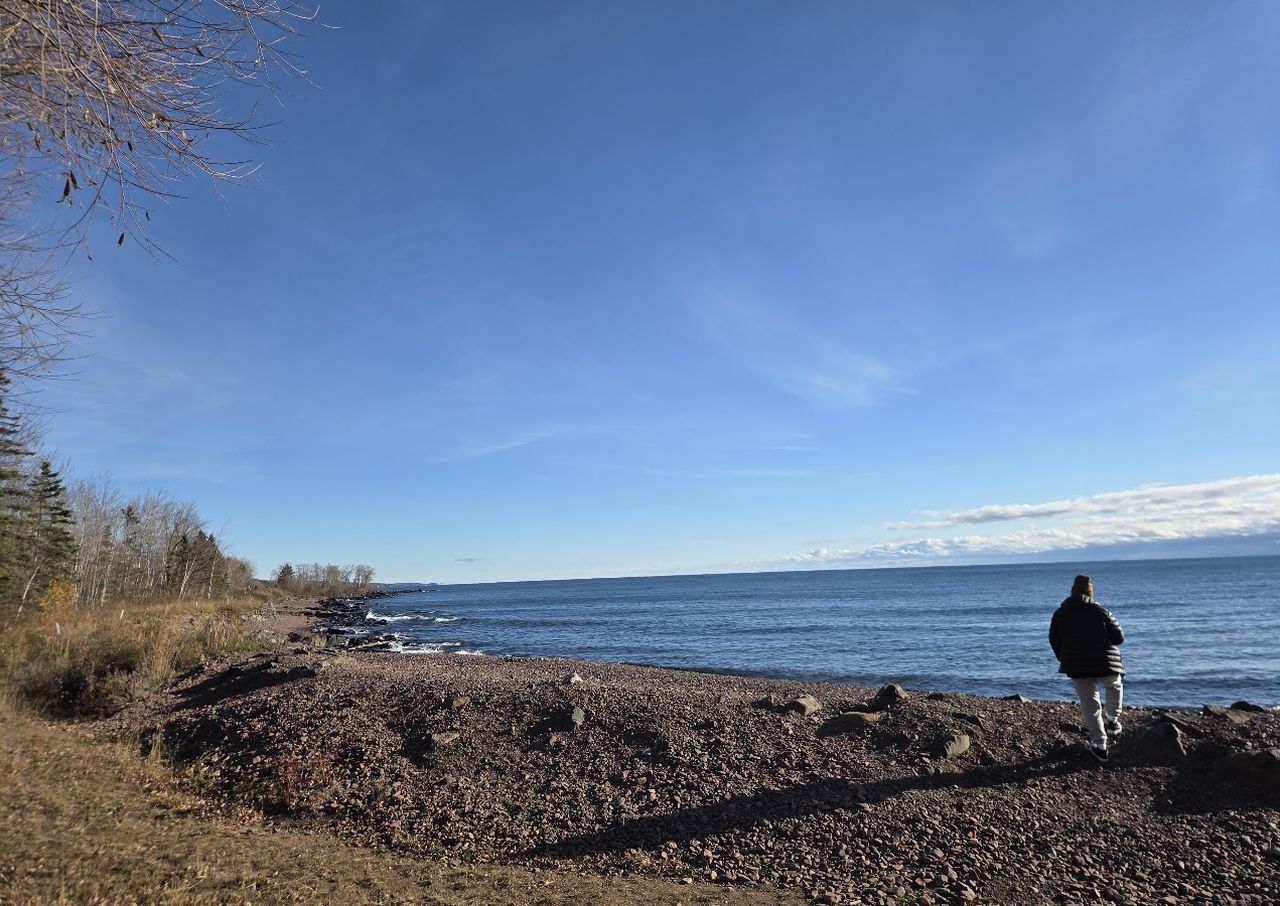 Person walking along a rocky shoreline with a clear blue sky and calm water, surrounded by bare trees and sparse vegetation.