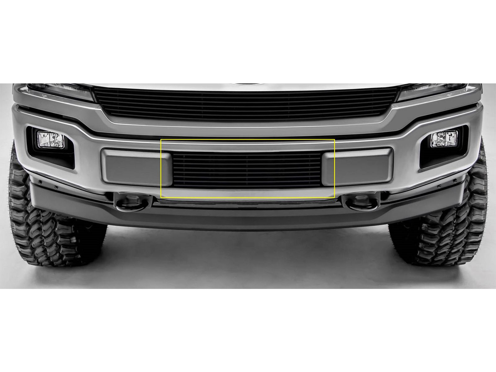 Fits 2018-2020 Ford F150 (TEX-25571B)
