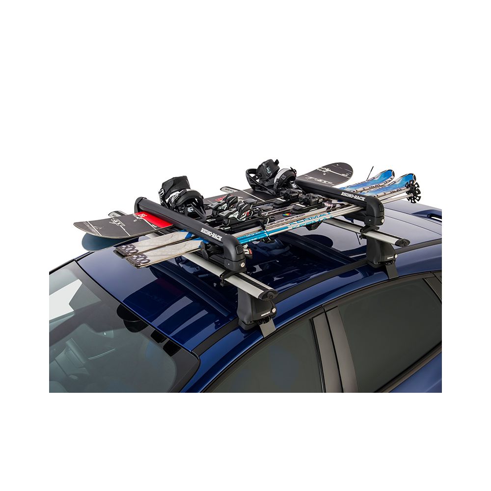 Ski Carrier - 2 Skis