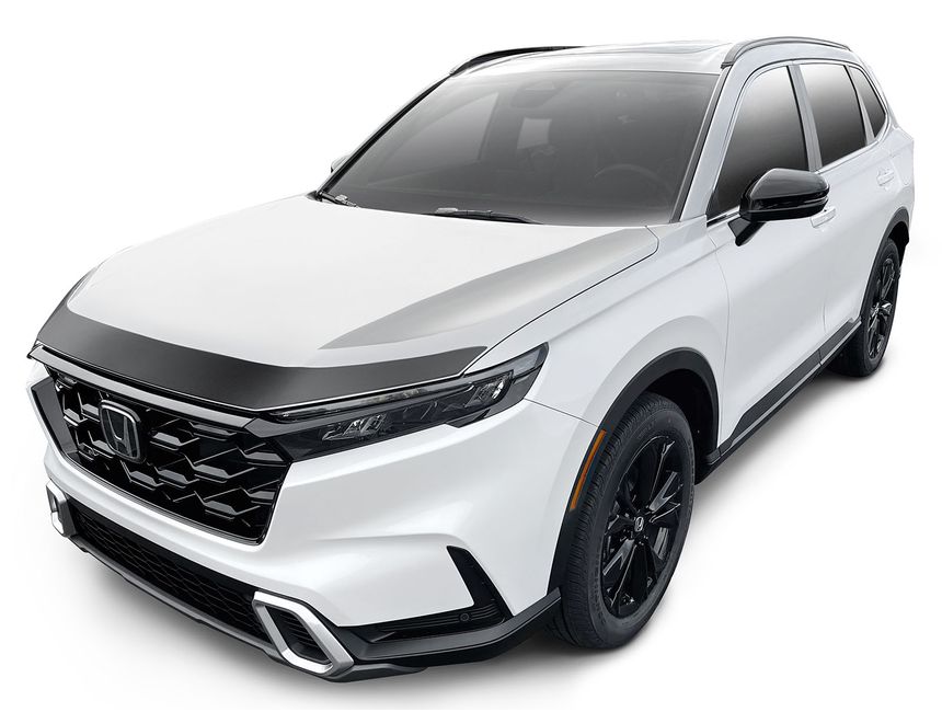 AVS® Aeroskin® Bug Shield 322242 RealTruck