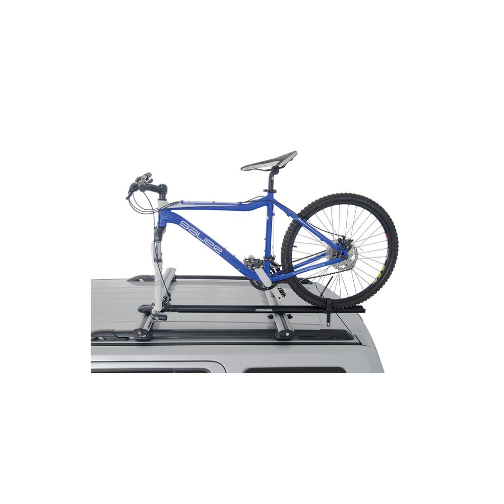 Hybrid Bike Carrier