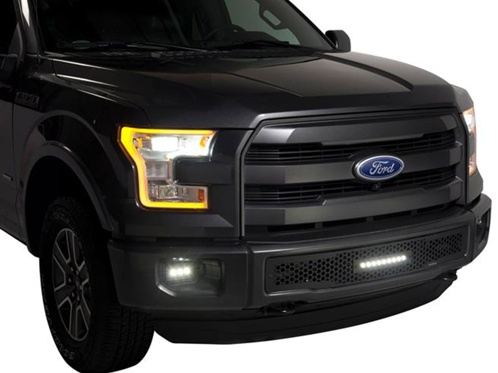 Fits 2015-2017 Ford F150 (PUT-88160L)