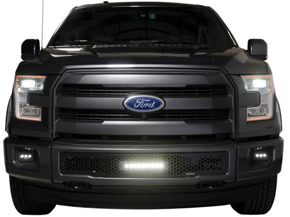 Fits 2015-2017 Ford F150 (PUT-88160L)