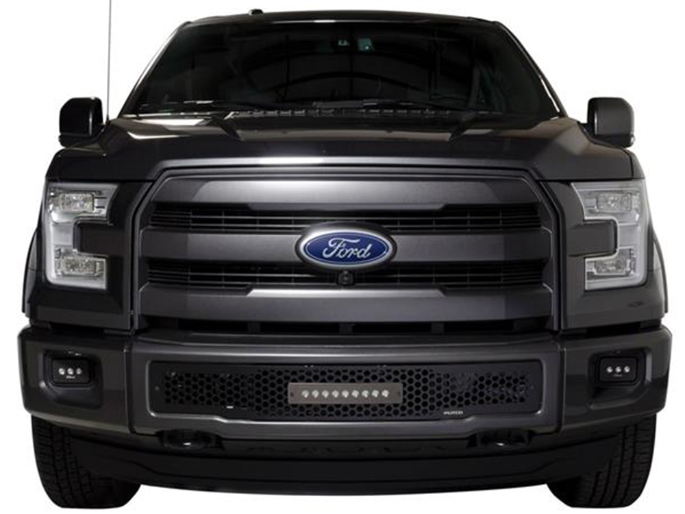 Fits 2015-2017 Ford F150 (PUT-88160L)