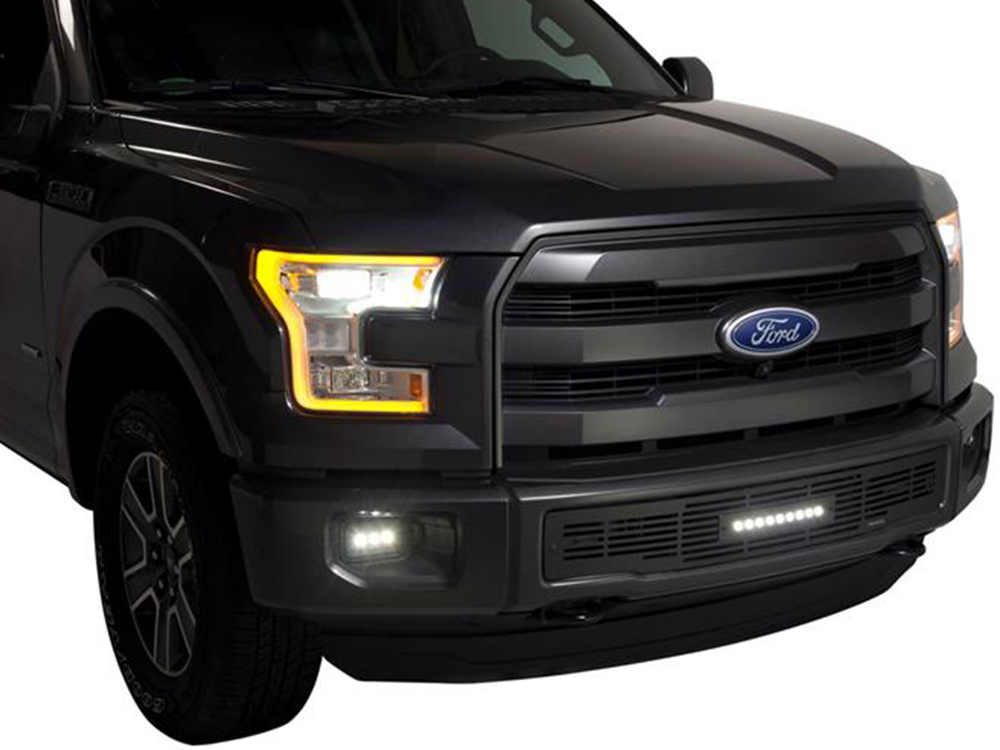 Fits 2015-2017 Ford F150 (PUT-87160L)
