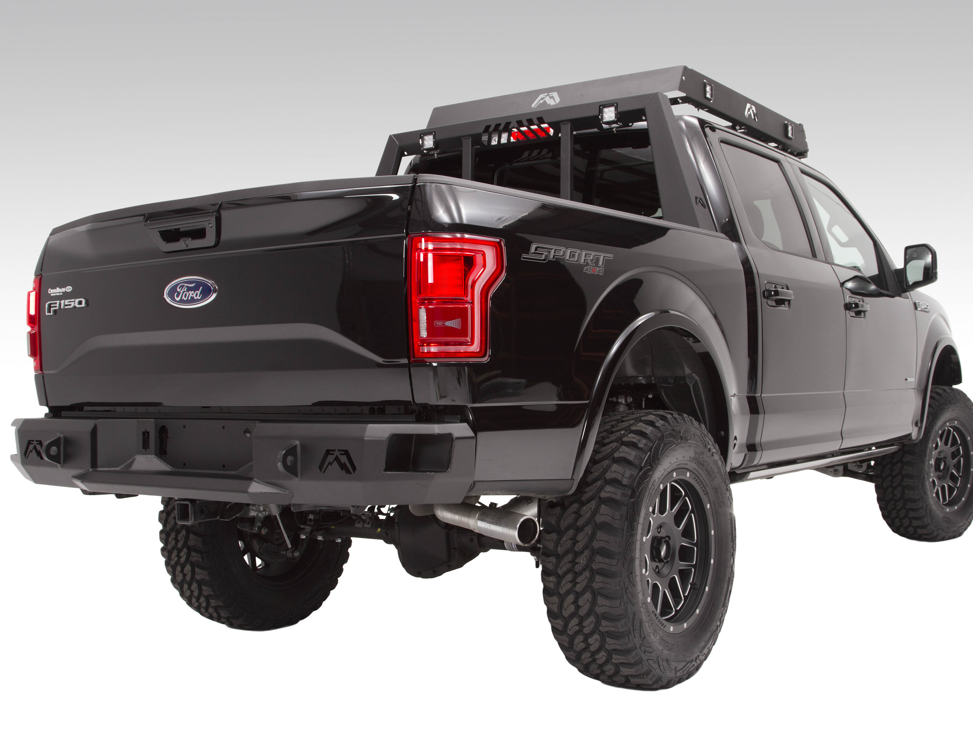 Fits 2015-2020 Ford F150 (FBF-FF15-W3250-1)