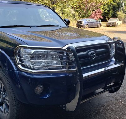 Image of Ionic Nerf Bars & Black Horse Classic grille guard
