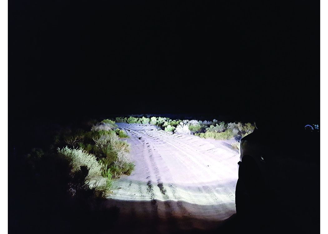 Gallery Image 9