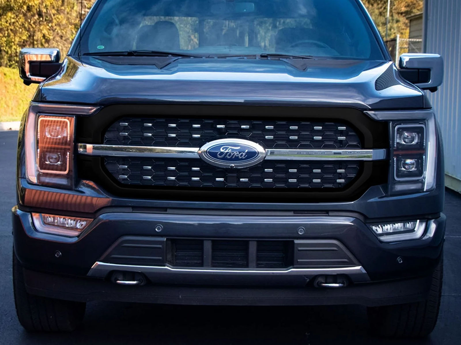 Fits 2021-2025 Ford F150 (TRM-ABS6831BLK)