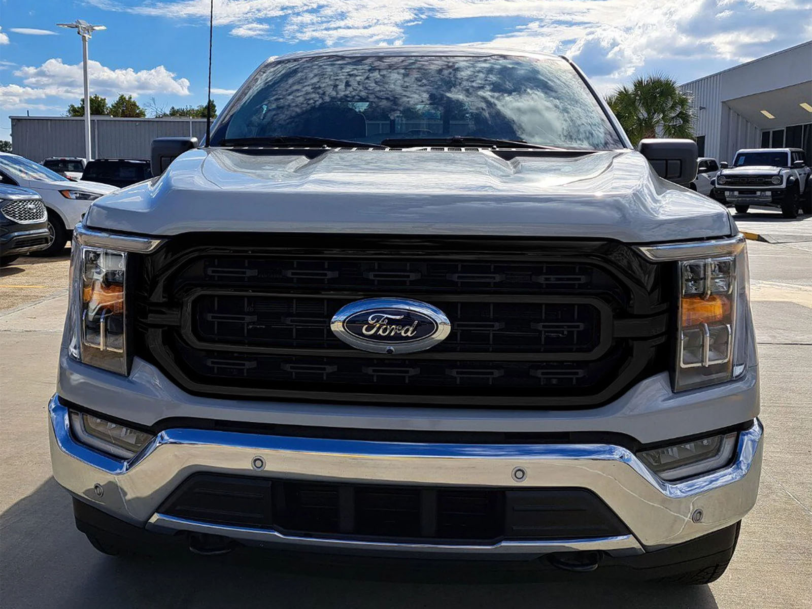 Fits 2021-2025 Ford F150 (TRM-ABS6837BLK)