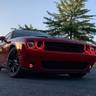 Gallery Thumbnail 6
