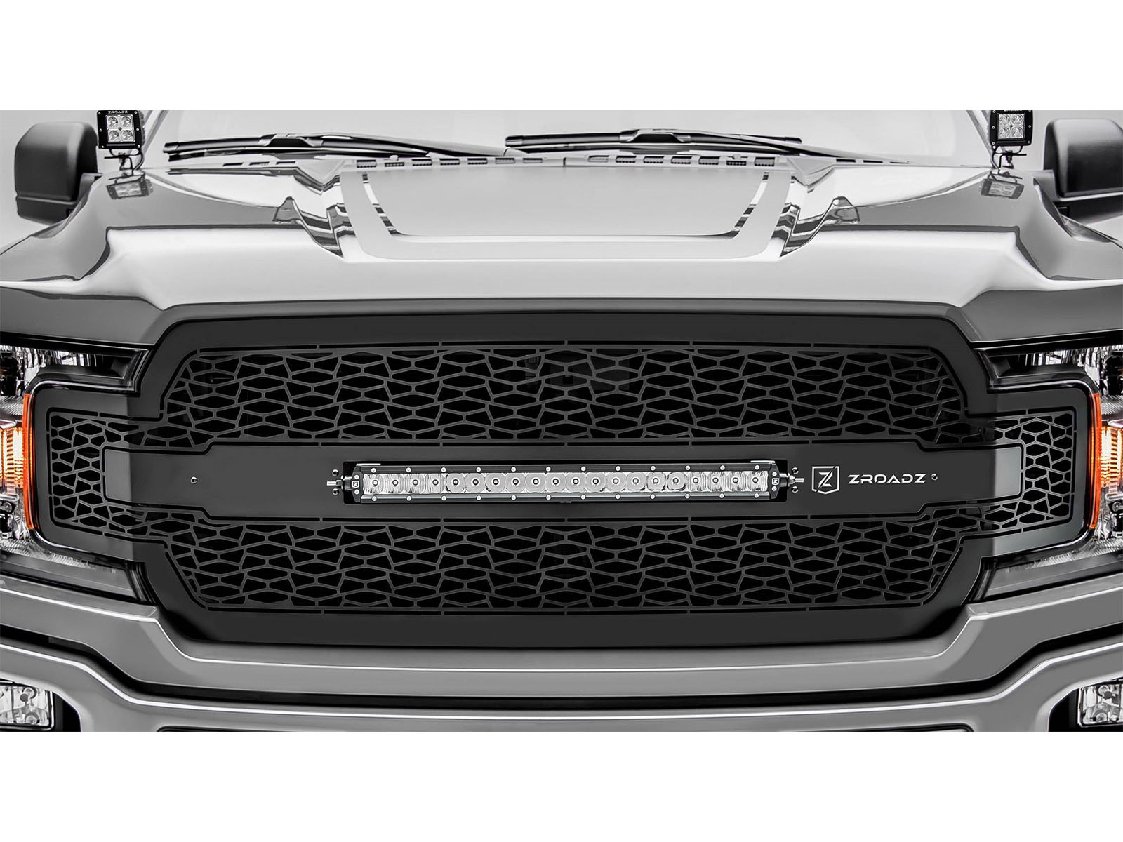 Fits 2018-2020 Ford F150 (TEX-Z315711)