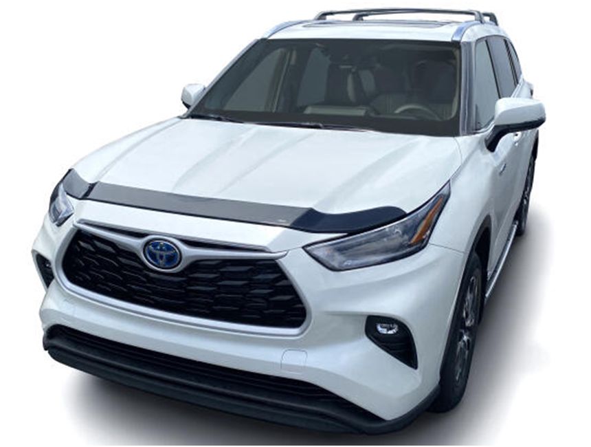 AVS® Aeroskin® Bug Shield 322190 RealTruck