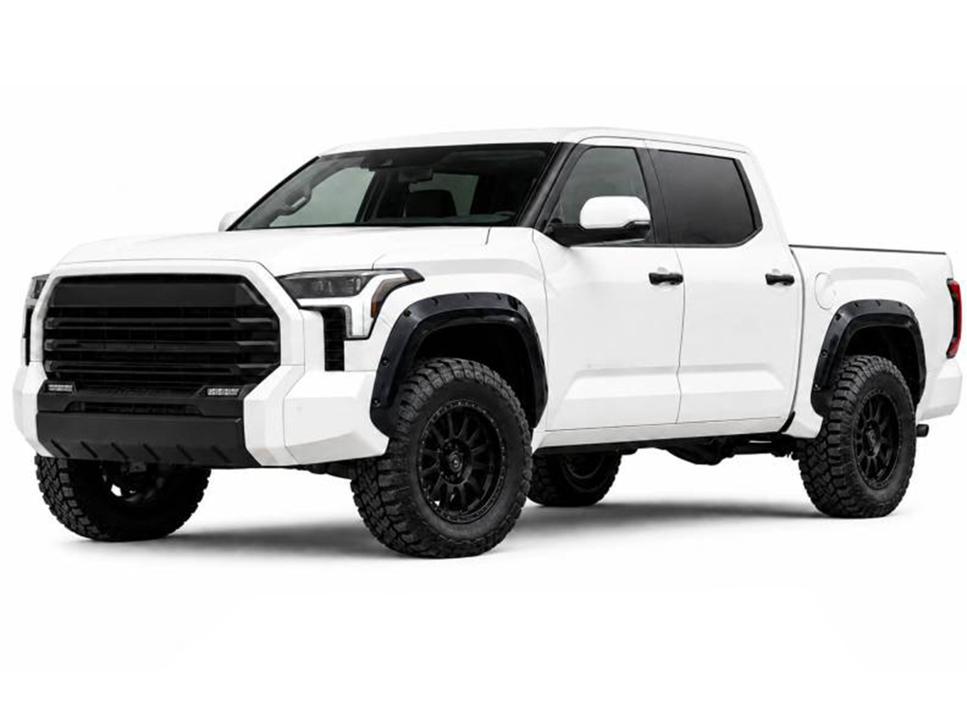 Black Horse Bolt-On Style Fender Flares FF-CHSIL19-SM
