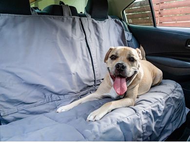 Canine Covers Custom Rear Seat Protectors - Covercraft