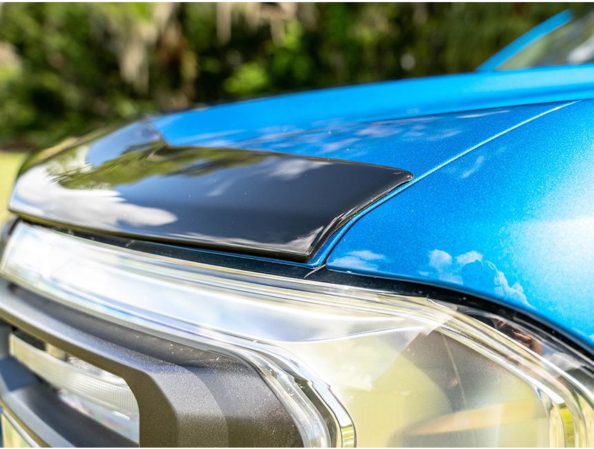 AVS® Aeroskin® Bug Shield 322154 RealTruck