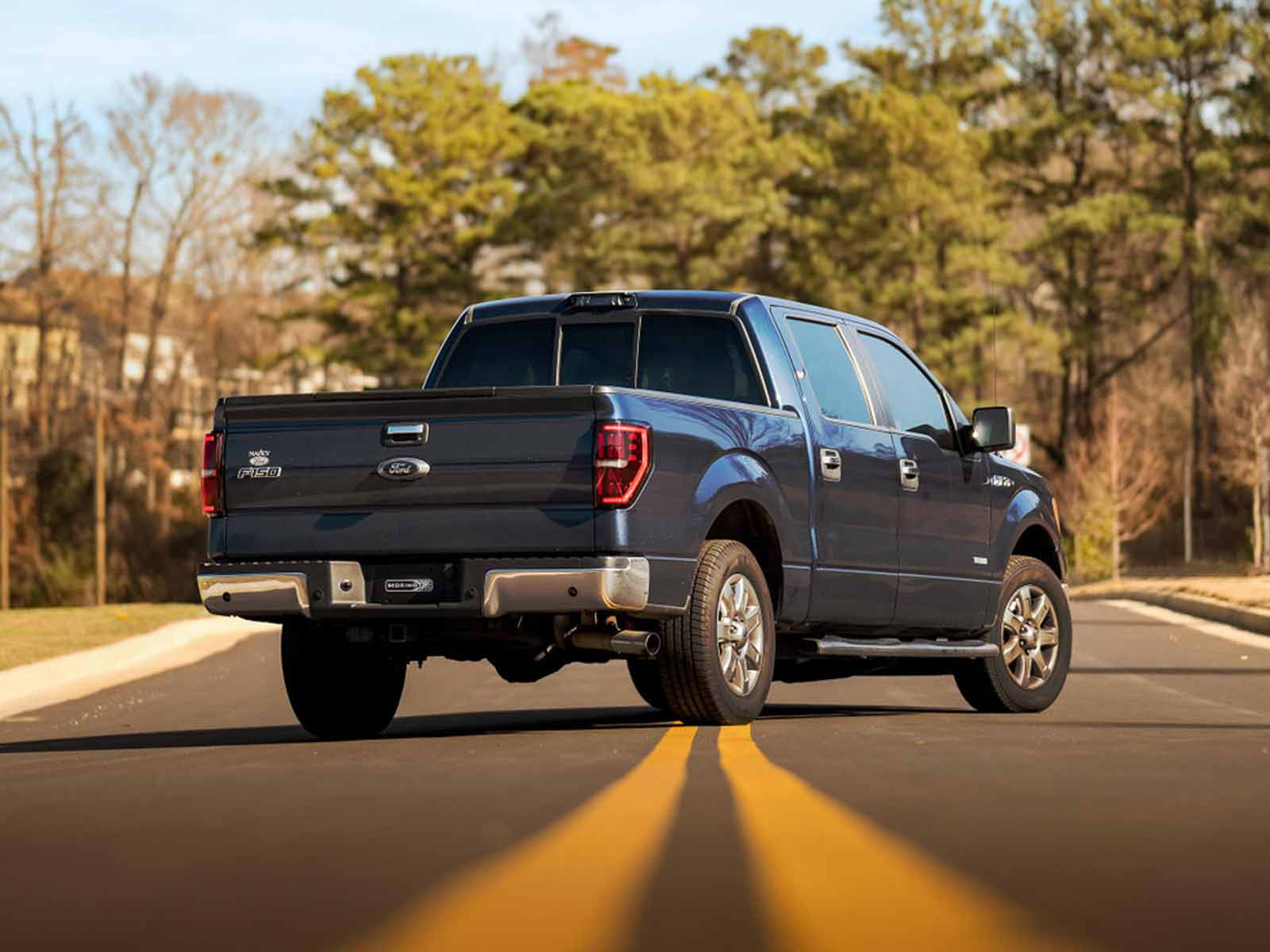 Fits 2009-2014 Ford F150 (MRM-LF720)