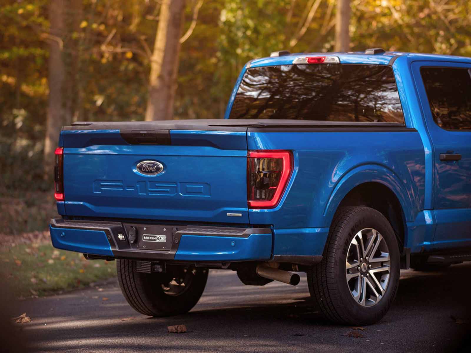 Fits 2021-2023 Ford F150 (MRM-LF734)