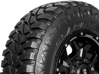 Nexen Roadian MTX Tire