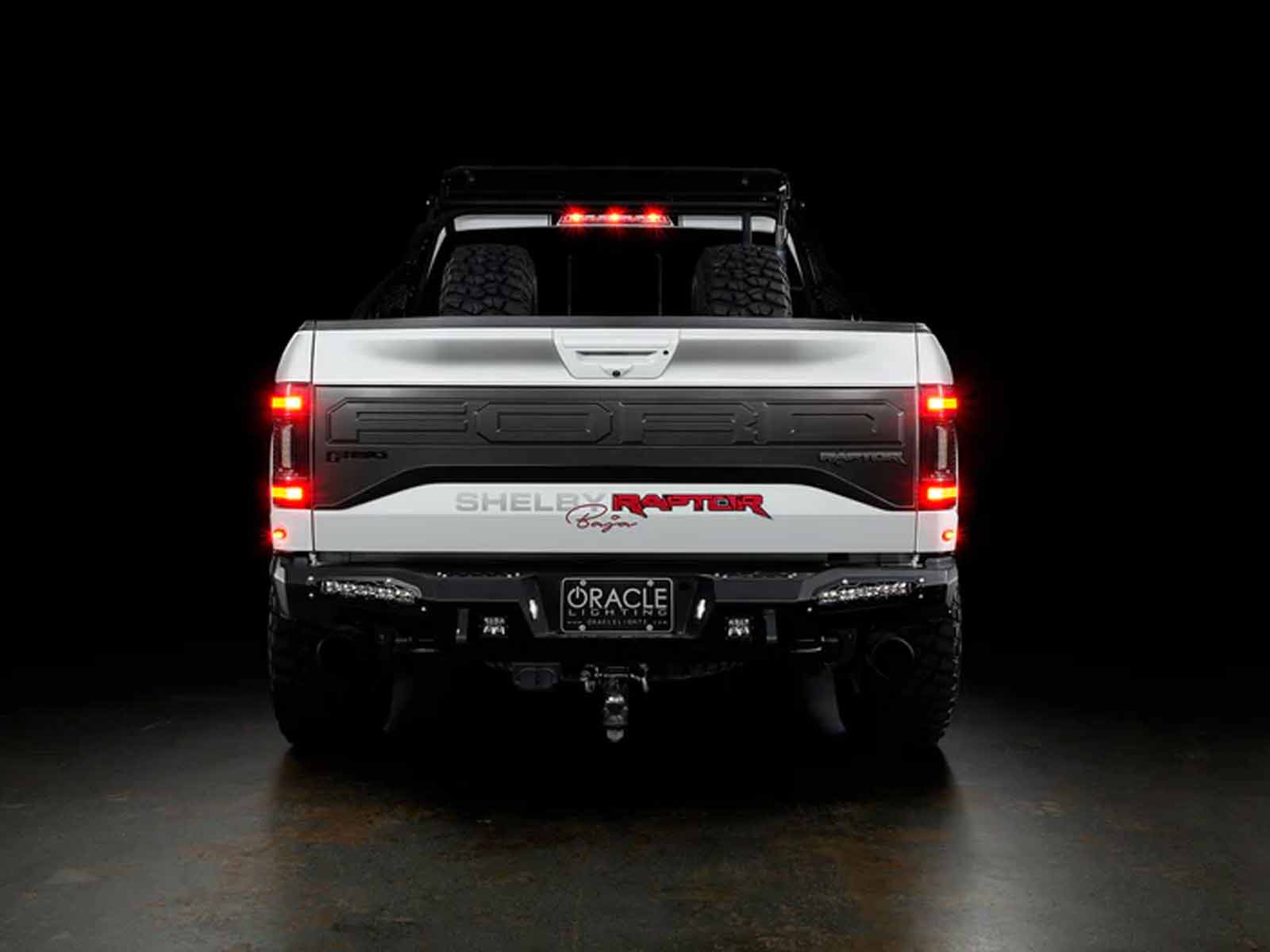 Fits 2015-2020 Ford F150 (OLT-5913-504-T)