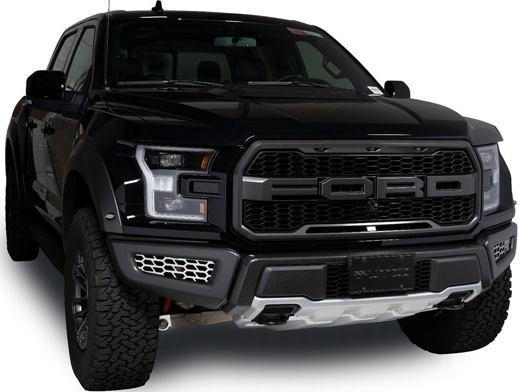 Fits 2018-2020 Ford F150 Raptor (PUT-82168)