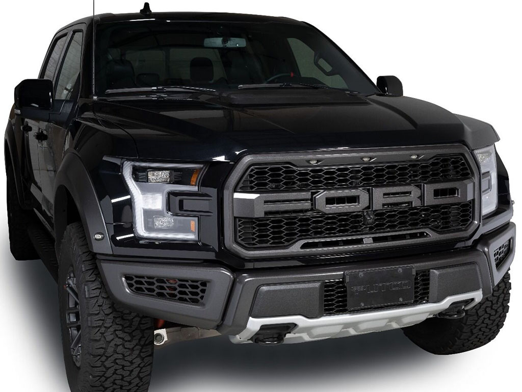 Fits 2018-2020 Ford F150 Raptor (PUT-83168)