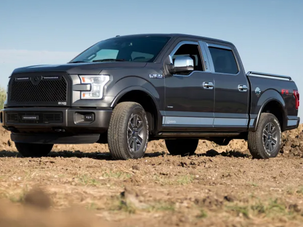 Fits 2009-2014 Ford F150, 6'7" Bed (PUT-9751425FD)