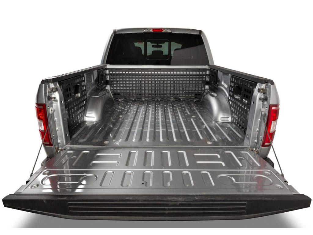 Fits 2015-2026 Ford F150, 6'7" ,8' Bed (PUT-195113)