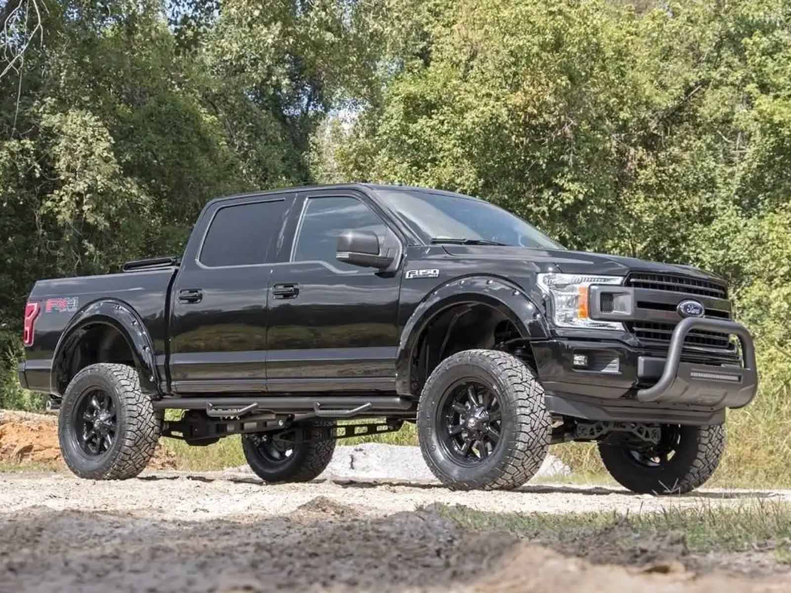 Fits 2015-2020 Ford F150 (RGH-55740)