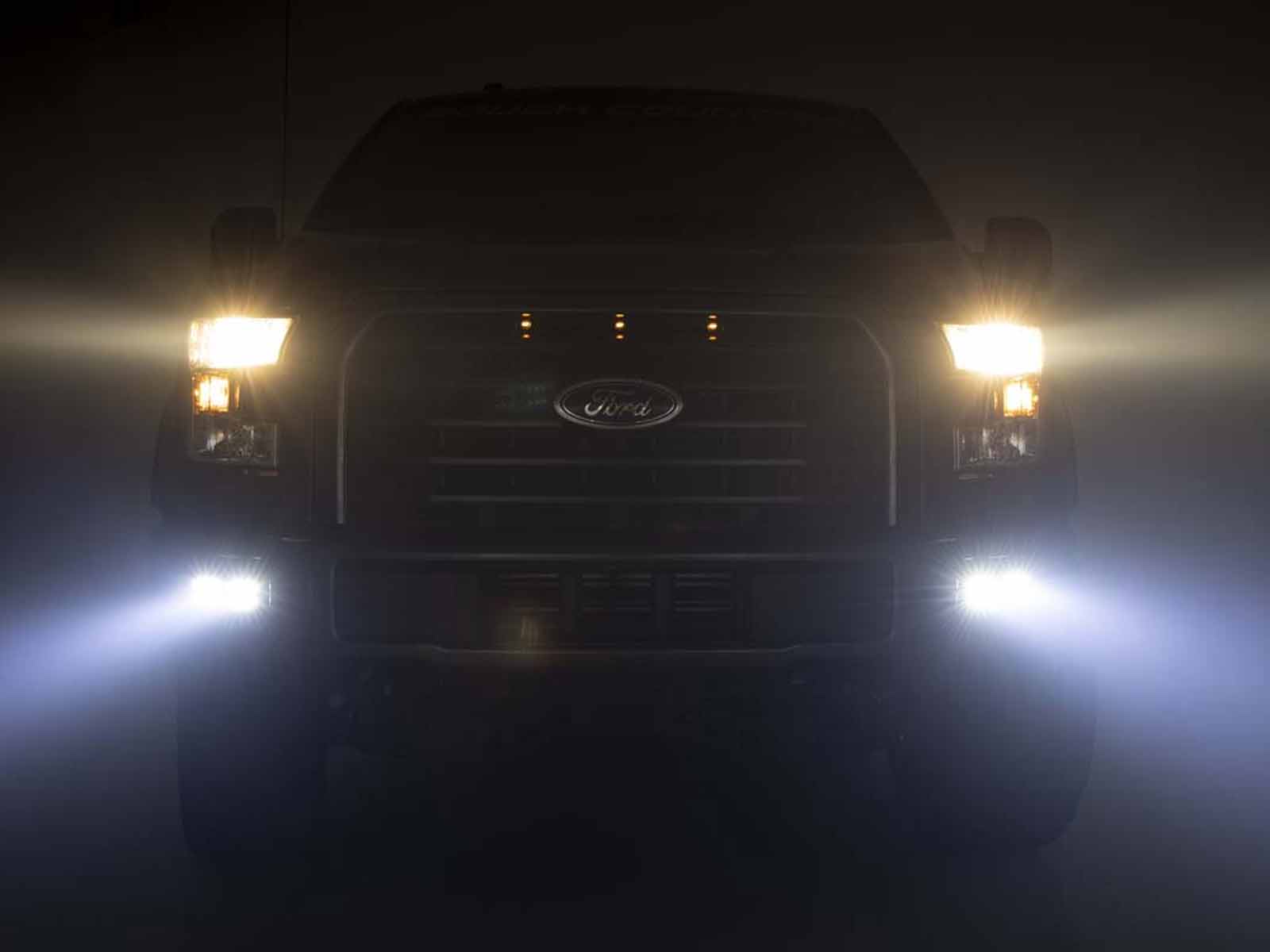 Fits 2015-2017 Ford F150 (RGH-70833)