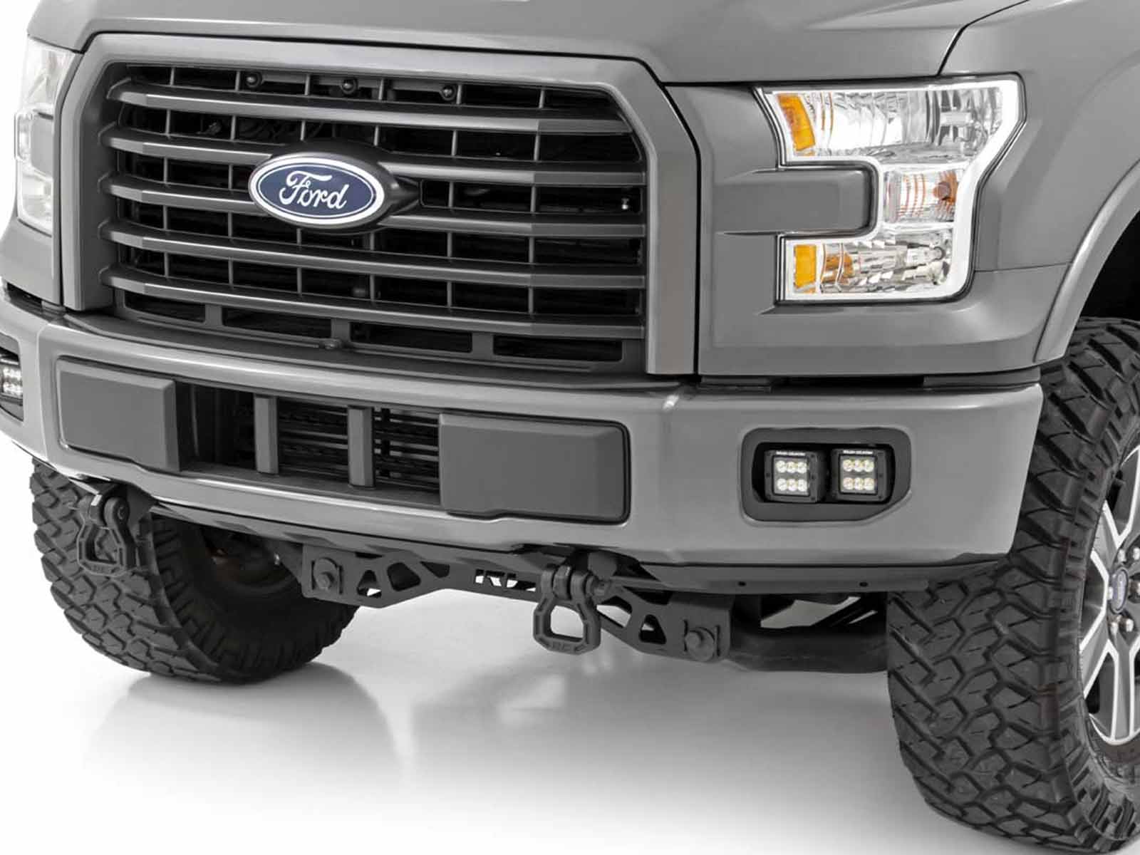 Fits 2015-2017 Ford F150 (RGH-70865)