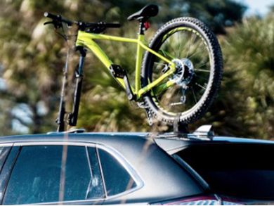 SeaSucker Talon MAX Bike Rack BT1104 RealTruck