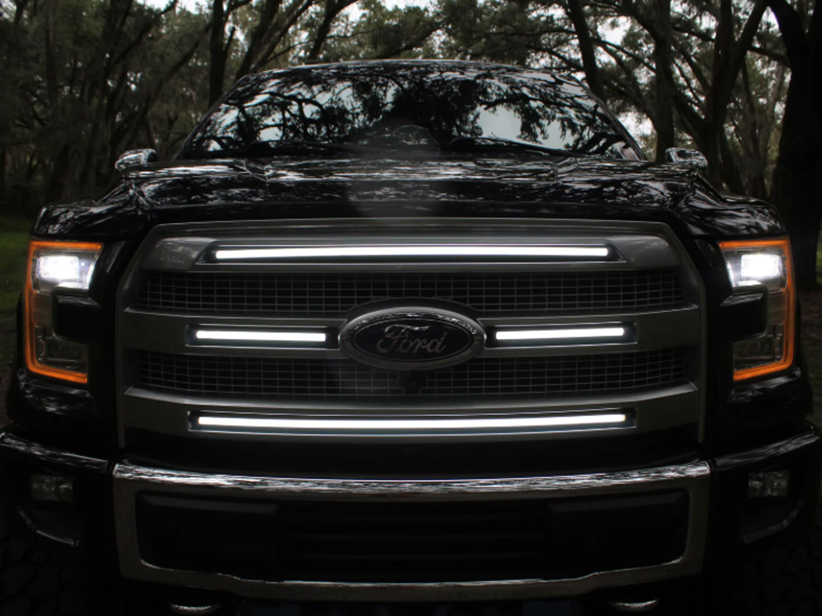 Fits 2015-2017 Ford F150 (SIC-SDG-F1517P-BAWSL)