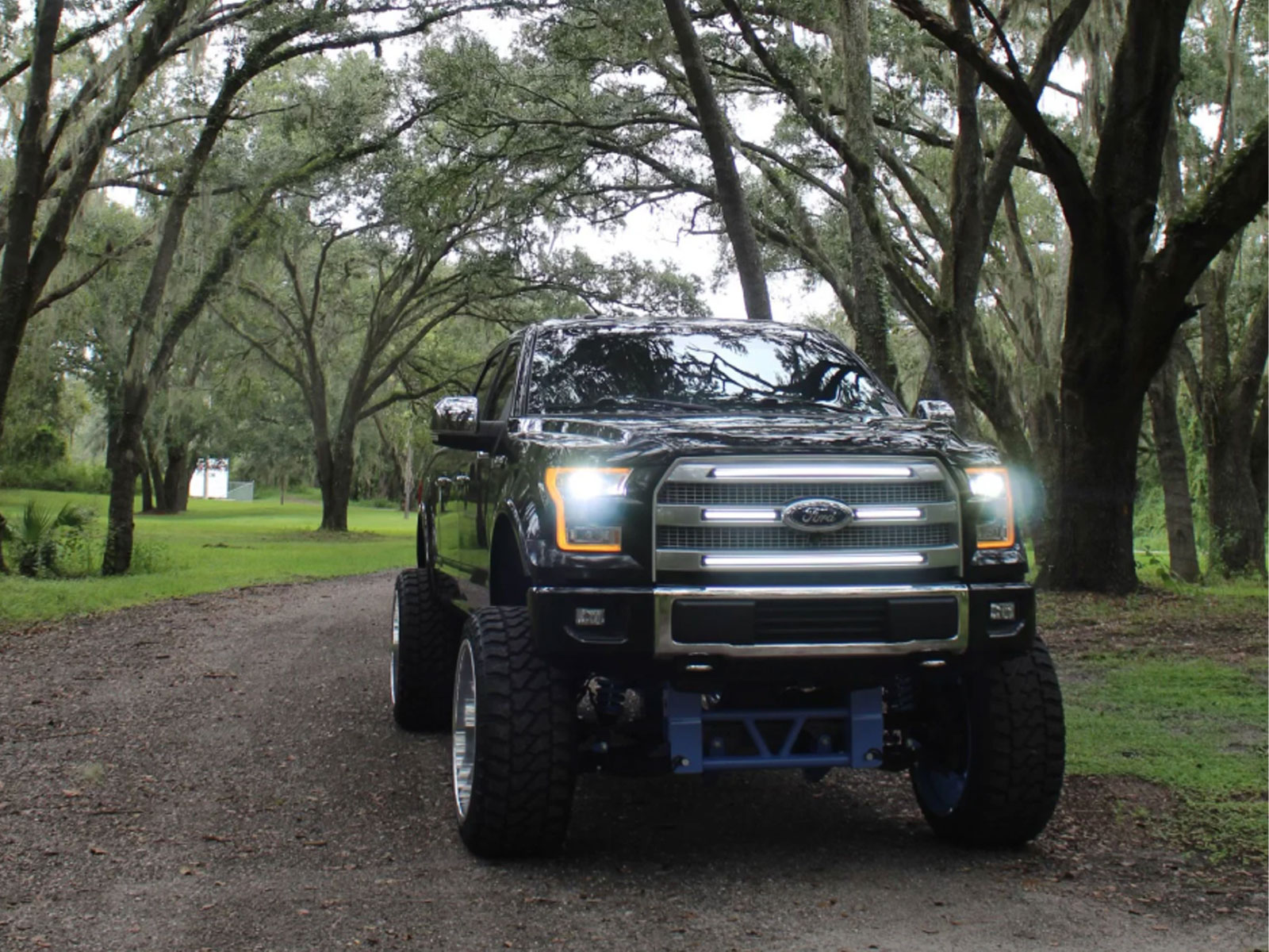 Fits 2015-2017 Ford F150 (SIC-SDG-F1517P-BAWSL)