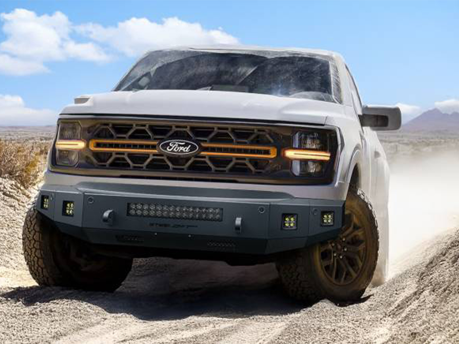 Fits 2024-2025 Ford F150 (STC-71-11440)