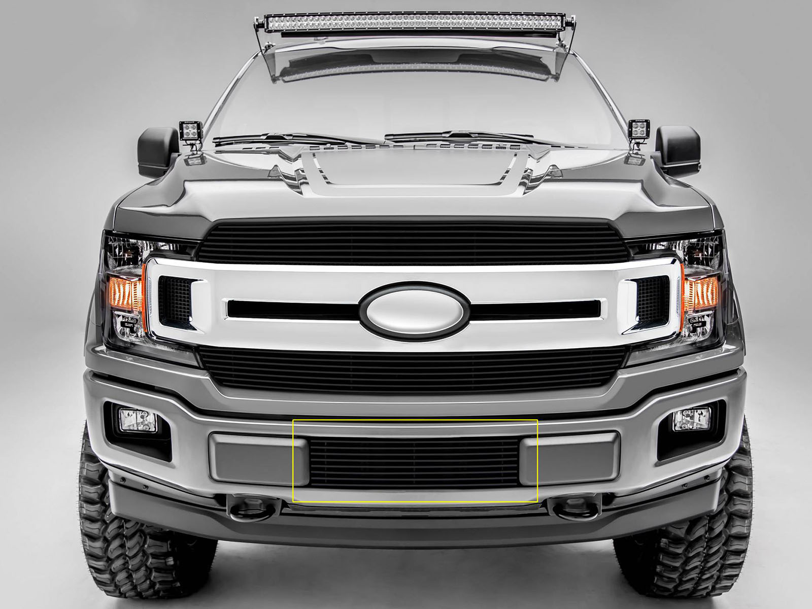 Fits 2018-2020 Ford F150 (TEX-25571B)