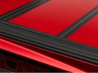 445668_5