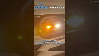 PUTCO Stinger Lightheads - Be SEEN and be SAFE!